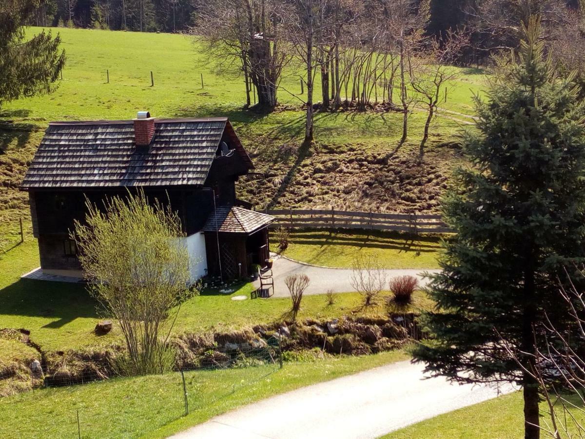 Vila Ferienhaus "Badl" Bad Goisern Exteriér fotografie