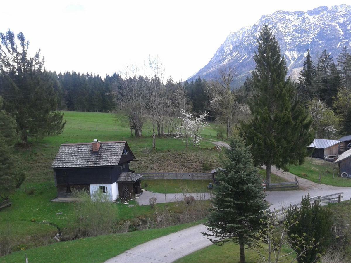 Vila Ferienhaus "Badl" Bad Goisern Exteriér fotografie